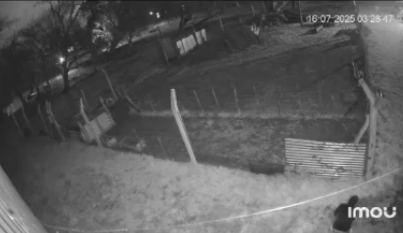 Casilda: evitan un robo en la Facultad de Veterinarias gracias al nuevo sistema de videovigilancia
