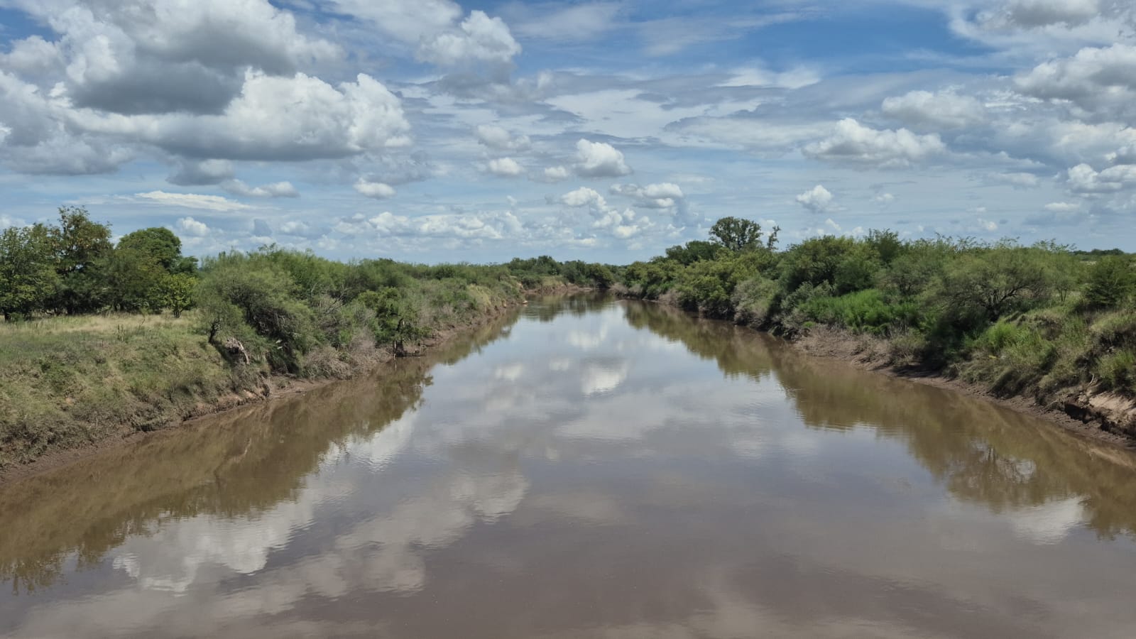 Mortandad de peces en el río Carcarañá 
